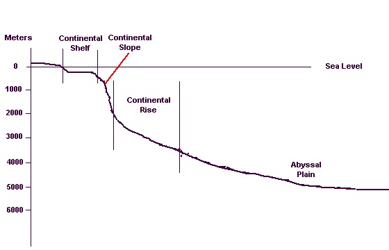 Continental shelf and rise